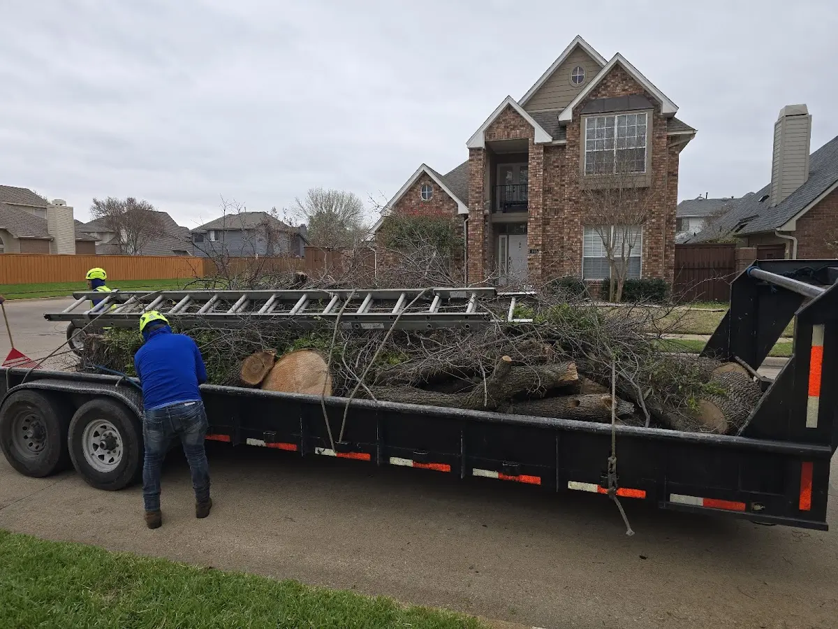 Expert Tree Fertilization with proper safety equipment in Birchdale